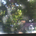 bashomilkyway avatar