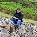 basic-calamity avatar