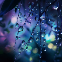 basicallykhaleesi avatar