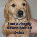 basicallyordinary avatar