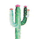 basicbeauty14 avatar