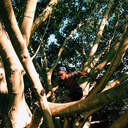 basicken-blog avatar