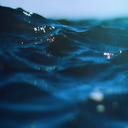 baskahayatlarinkadinio avatar