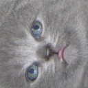 basking-in-the-glow avatar