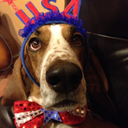 bassetsforpresident avatar