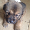 bassist-edcel avatar