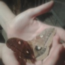 bassist-vortex avatar