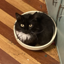 bastardtoadflax avatar