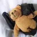 bat-pup avatar