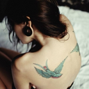 bat-tattoo-blogg avatar