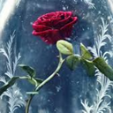 batbobsession avatar