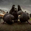 batfam-art-main avatar