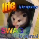 batfam-is-my-life avatar