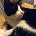 bathedinthebloodoflucifer-blog avatar