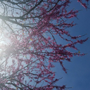 batman-motionless avatar