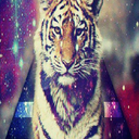 batmanandtacos avatar