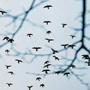 batmanbleu-blog avatar