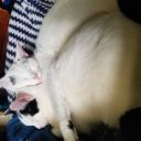 batmanlover1415 avatar