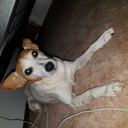 batmanwillwin69 avatar