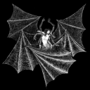 bats-n-lace avatar