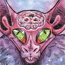 batsbrains avatar