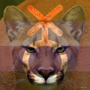 batteredrugosa avatar