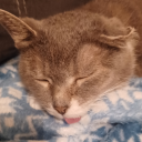 battery-acid-saloon avatar