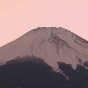 battleofroses avatar