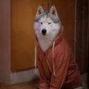 battlepup1534 avatar