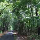 battlesatellite avatar