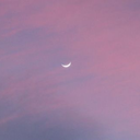 batttlingfear avatar