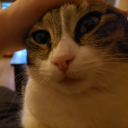 battysodaarchive avatar