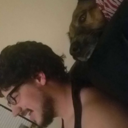 batveriasmash avatar