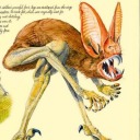 batwards-running avatar