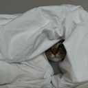 baudelaireaimevoltaire avatar