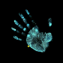 bay-adam-blog avatar