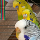 baysalandcompany avatar