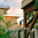 bazzil-wraithbane avatar