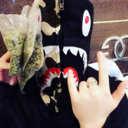 bazzzzingaaaa avatar