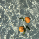 bb-eb-db-bb-eb-b-ab-f-b-ab avatar