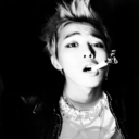 bb-xoxo-nyt-blog avatar