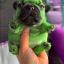 bbablacksheep avatar