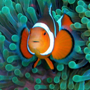 bbb-bbb avatar
