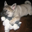 bbbyunicorrrn avatar