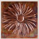 bbcopperdaisy avatar