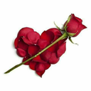 bbnhghgh-blog avatar