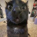 bbreadbbridge avatar