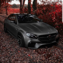 bbwandpawglover avatar