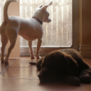 bdamartinezjr avatar