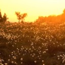 be-a-hero-kill-yourego avatar